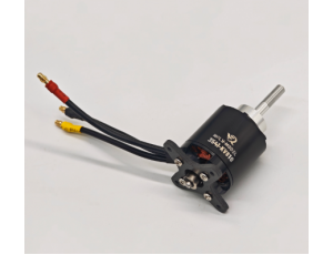 Xfly-Model 1.2M Hurricane 3541 810Kv Outrunner Motor